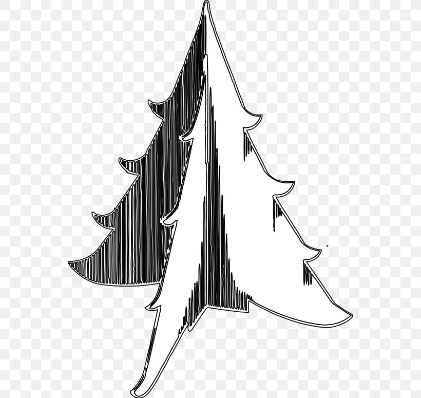 Line Angle, PNG, 555x775px, White, Black And White, Tree, Wing Download Free