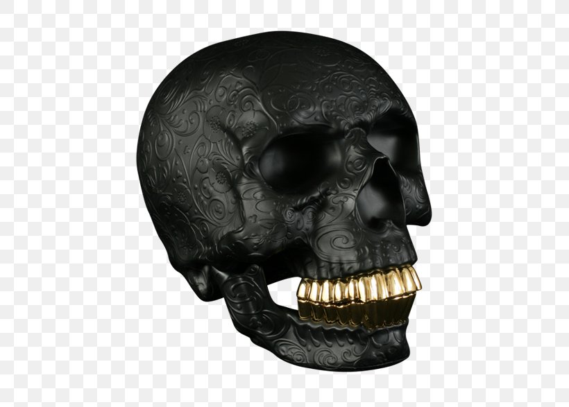 Skull Gold Teeth Human Tooth Jaw, PNG, 562x587px, Skull, Bone, Face, Gold, Gold Teeth Download Free