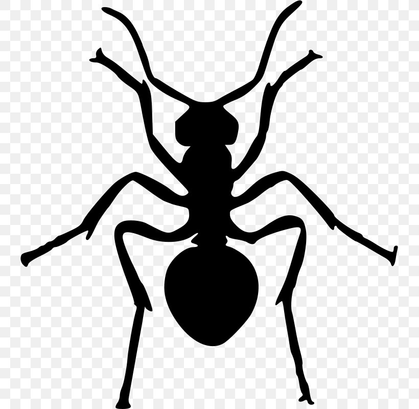 Ant Insect Silhouette Clip Art, PNG, 739x800px, Ant, Art, Arthropod, Artwork, Black And White Download Free