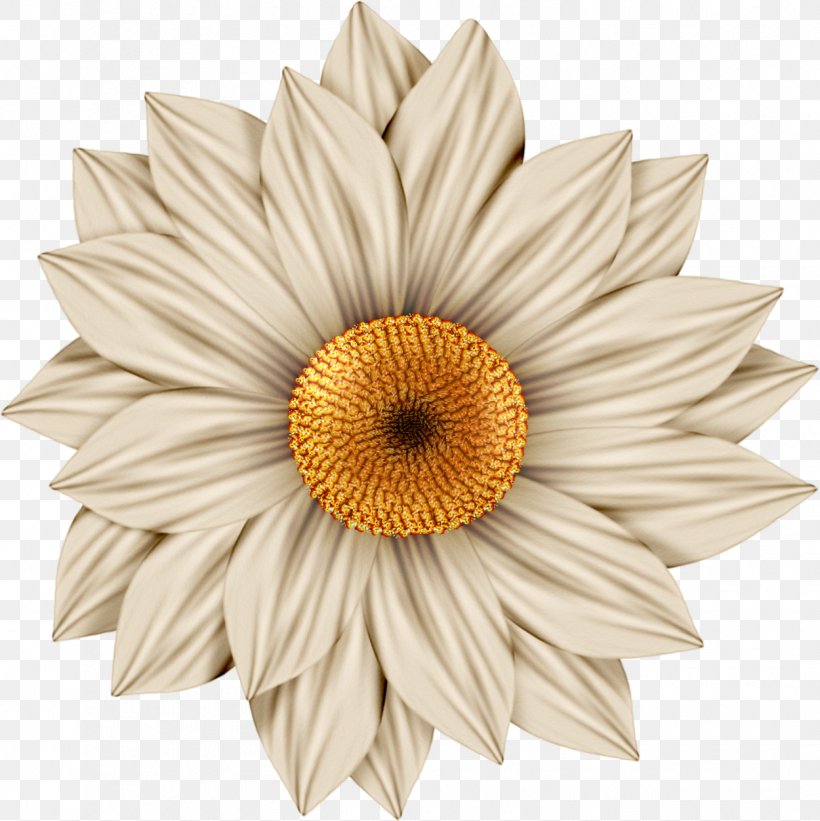 Art Floral Design Clip Art, PNG, 1250x1253px, Art, Collage, Cut Flowers, Daisy Family, Decoupage Download Free