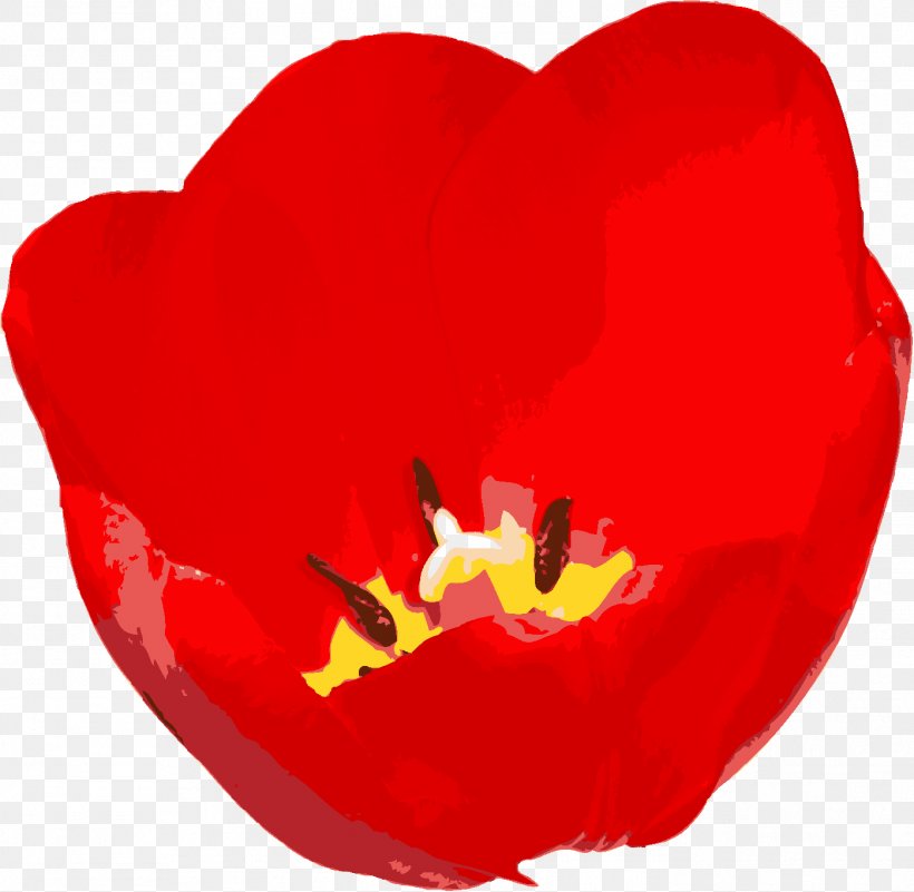 Flowering Plant Love Tulip Petal, PNG, 1396x1365px, Flowering Plant, Coquelicot, Flower, Heart, Love Download Free