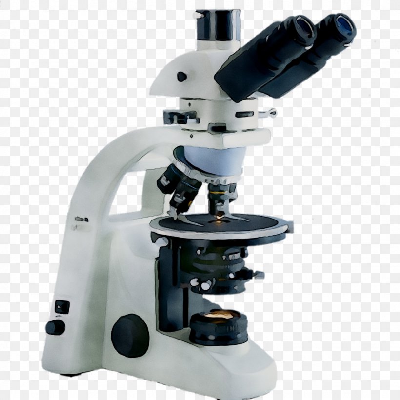Microscope Photography University Algae, PNG, 1126x1126px, Microscope, Algae, Diatom, Machine, Optical Instrument Download Free