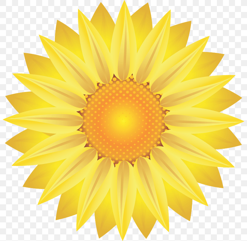 Sunflower Summer Flower, PNG, 802x802px, Sunflower, Drawing, Logo, Royaltyfree, Summer Flower Download Free