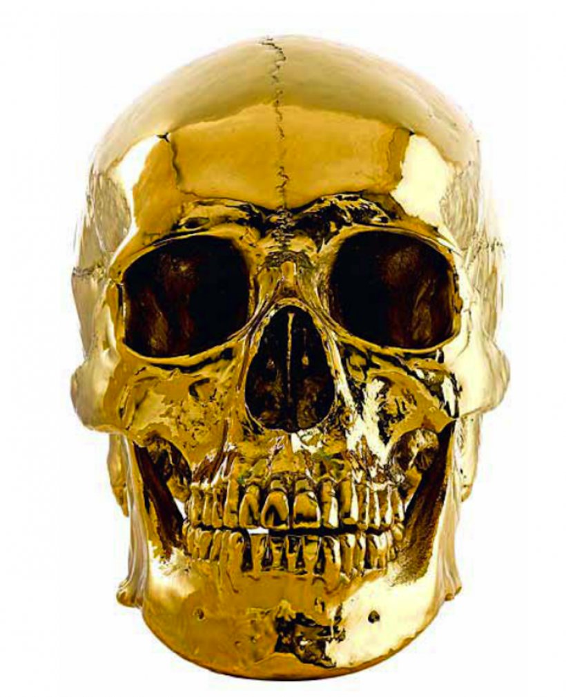 Animal Skulls Gold Skeleton Skull Art, PNG, 1000x1231px, Skull, Animal Skulls, Bone, Color, Crystal Download Free