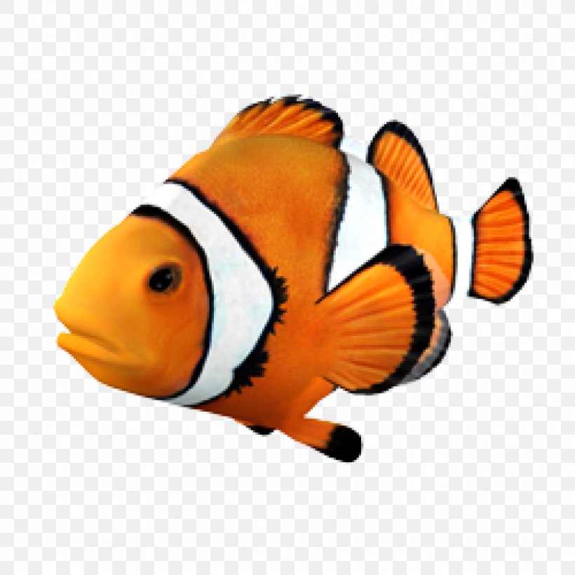 Goldfish Clownfish Angelfish Tropical Fish, PNG, 1024x1024px, Fish, Angelfish, Animal, Aquarium, Clownfish Download Free