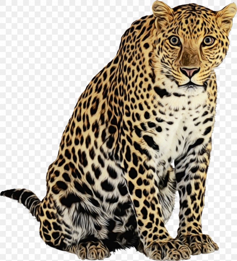 Lion Drawing, PNG, 1024x1129px, Cheetah, African Leopard, Animal, Animal Figure, Cartoon Download Free