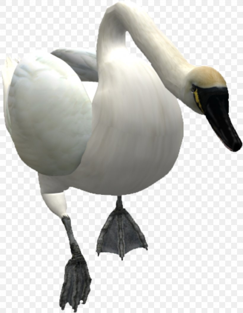 Mute Swan Swan Goose Bird, PNG, 1941x2502px, Mute Swan, Beak, Bird, Cygnini, Duck Download Free