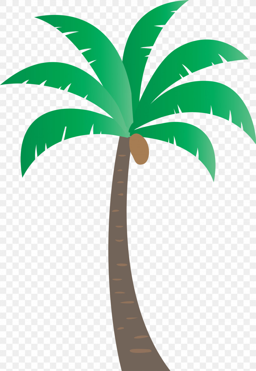 Palm Trees, PNG, 2072x3000px, Palm Tree, Beach, Biology, Cartoon Tree, Coconut Download Free
