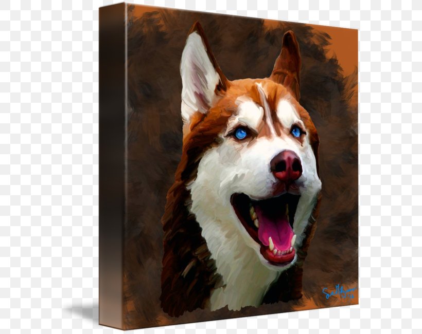 Siberian Husky Sakhalin Husky Dog Breed Puppy, PNG, 589x650px, Siberian Husky, Breed, Breed Group Dog, Carnivoran, Cuteness Download Free