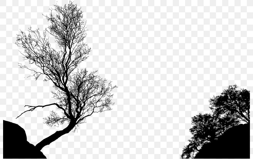 Silhouette Tree Branch Clip Art, PNG, 800x516px, Silhouette, Arborist, Black And White, Branch, Leaf Download Free