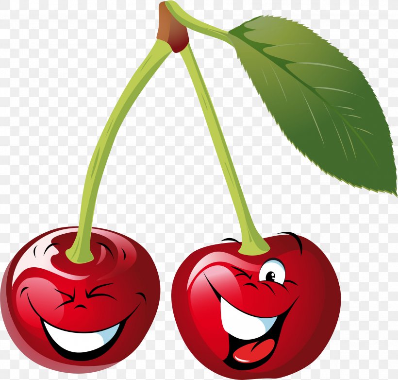 Cherry Drawing Clip Art, PNG, 2521x2407px, Cherry, Art, Art Museum, Cartoon, Drawing Download Free