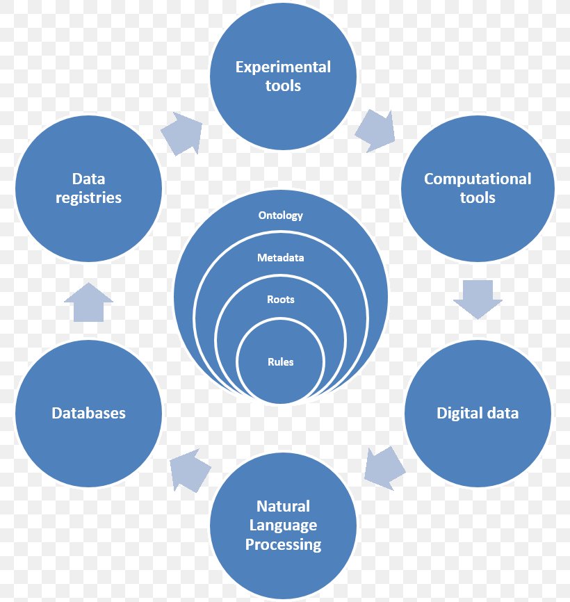 Infection Control Transmission Disease Food Chain, PNG, 784x866px, Infection, Area, Brand, Communication, Diagram Download Free