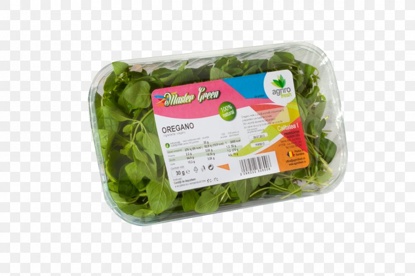 Leaf Vegetable, PNG, 1348x899px, Leaf Vegetable, Dish, Ingredient, Vegetable, Vegetarian Food Download Free