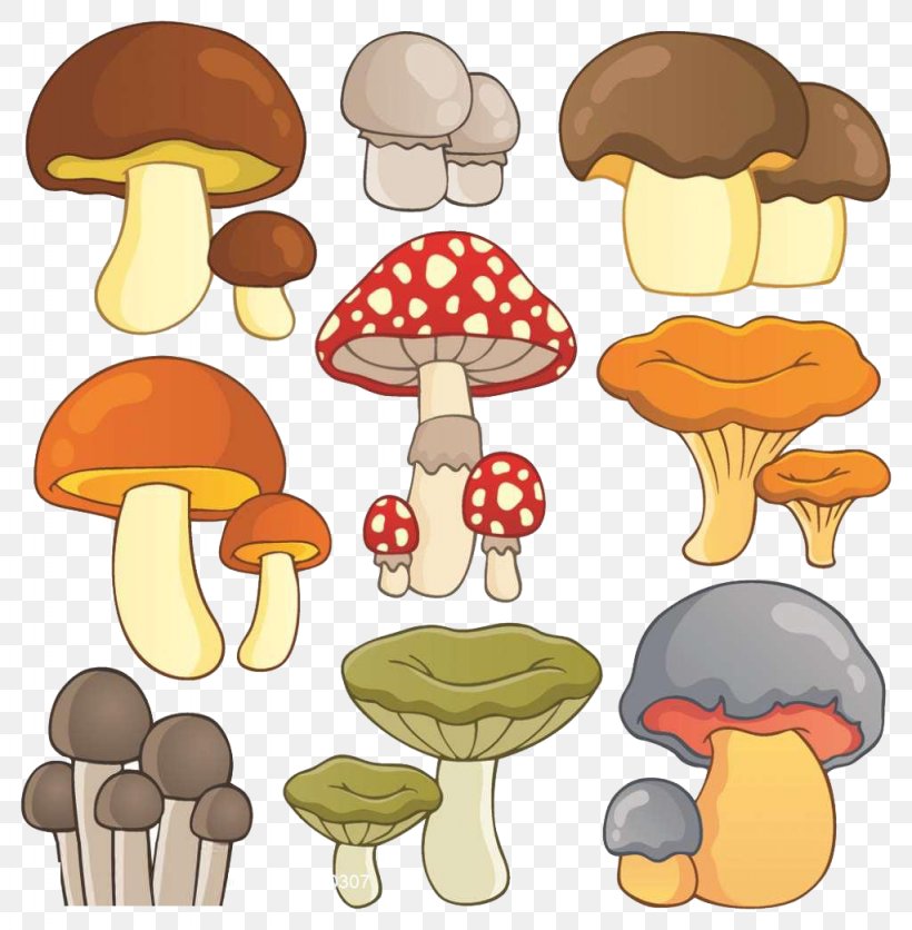 Mushroom Drawing Illustration, PNG, 1024x1045px, Mushroom, Cartoon, Drawing, Edible Mushroom, Food Download Free