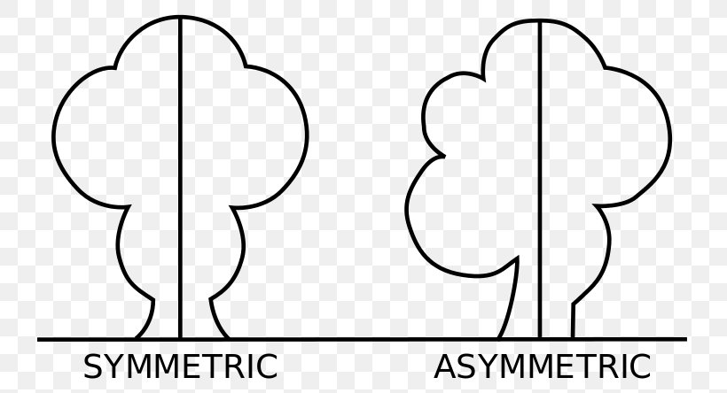 Reflection Symmetry Asymmetry Shape Mathematics, PNG, 735x444px, Watercolor, Cartoon, Flower, Frame, Heart Download Free