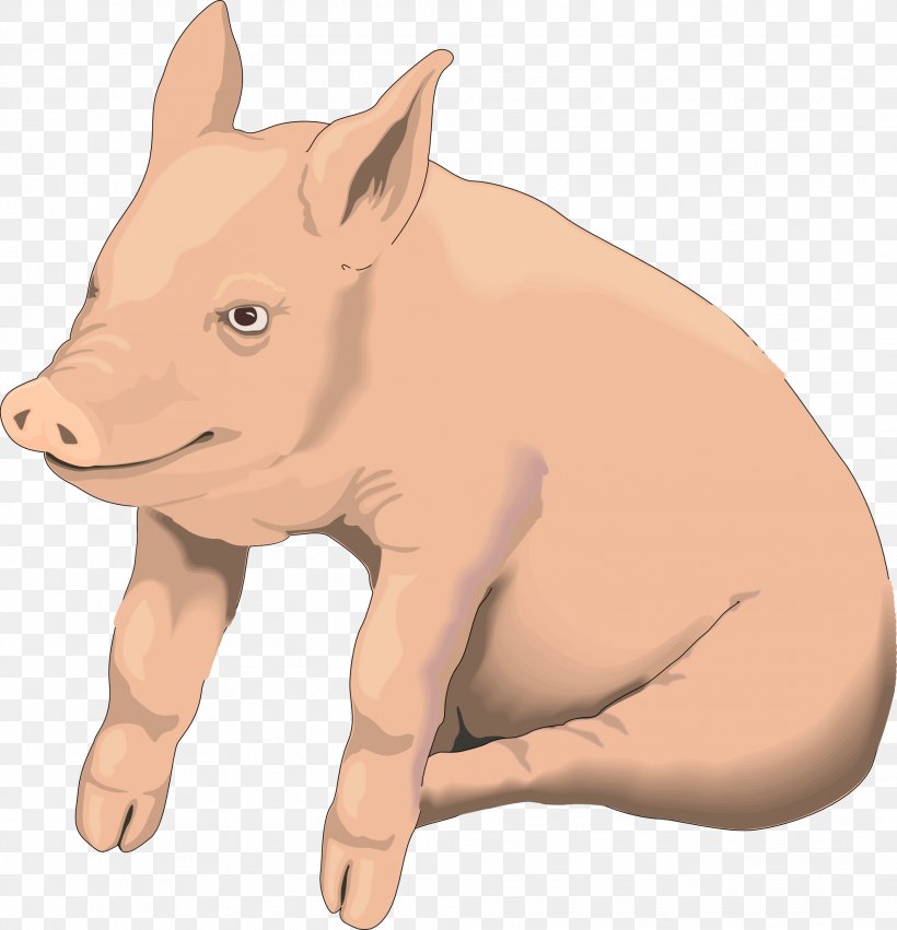 Domestic Pig Clip Art, PNG, 1979x2054px, Pig, Cattle Like Mammal, Clip Art, Document, Domestic Pig Download Free