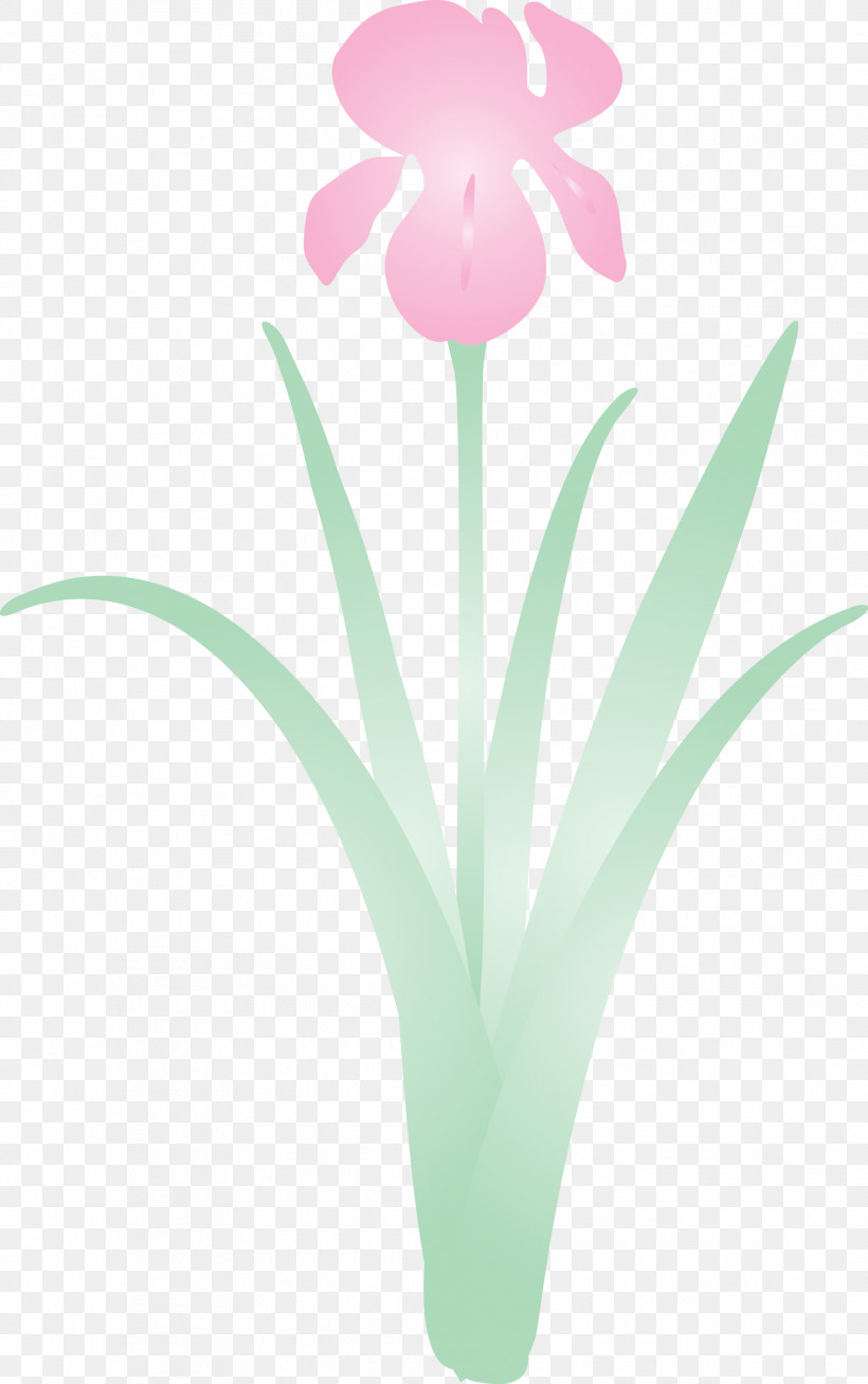 Iris Flower Spring Flower, PNG, 1881x3000px, Iris Flower, Flower, Flowerpot, Iris, Pedicel Download Free