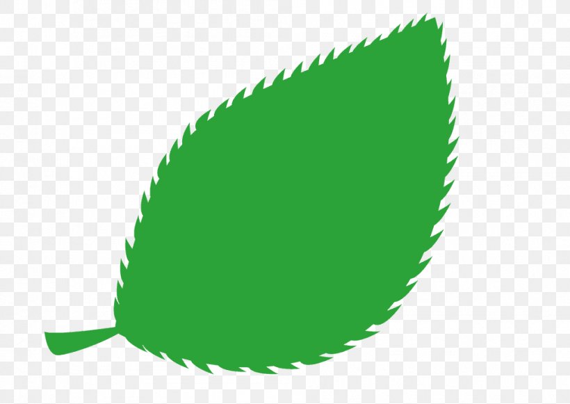 Leaf Illustration Graphics Green Design, PNG, 1004x712px, Leaf, Bud, Drawing, Grass, Green Download Free