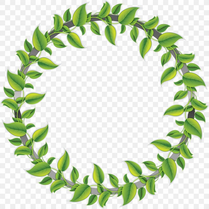 Leaf, PNG, 5879x5879px, Leaf, Branch, Green, Needle, Picture Frames Download Free