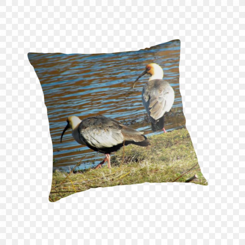 Throw Pillows Cushion Beak Feather, PNG, 875x875px, Throw Pillows, Beak, Bird, Cushion, Fauna Download Free