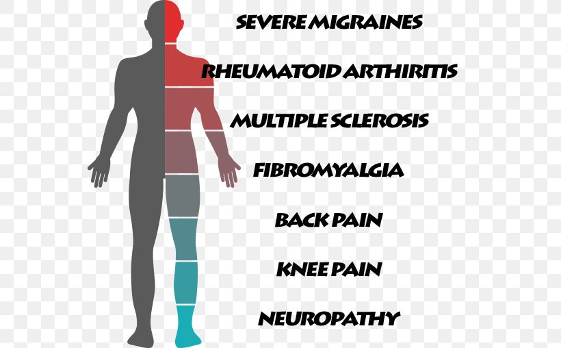 Cerebral Palsy Muscle Therapy Medicine Human Body, PNG, 563x508px, Watercolor, Cartoon, Flower, Frame, Heart Download Free