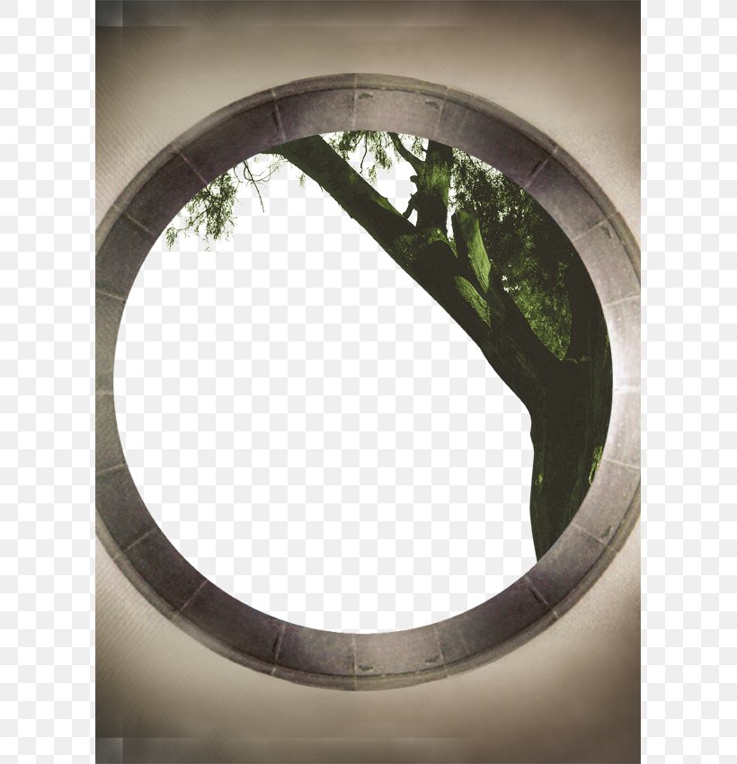 Circle Plant Icon, PNG, 607x850px, Plant, Animal, Daylighting, Designer, Oval Download Free