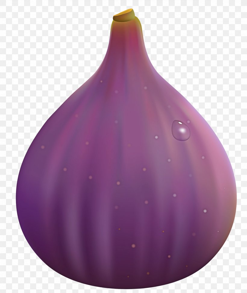Purple Violet Vase Onion Plant, PNG, 2530x2999px, Purple, Allium, Eggplant, Onion, Plant Download Free