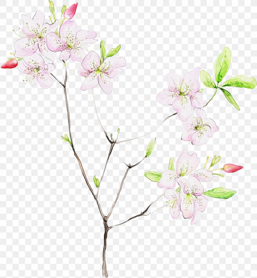 Cherry Blossom, PNG, 2766x2988px, Flower, Blossom, Branch, Cherry Blossom, Flowering Plant Download Free