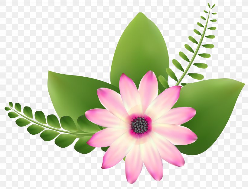 Flower Art Clip Art, PNG, 6219x4748px, Flower, Art, Cut Flowers, Floral Design, Floristry Download Free