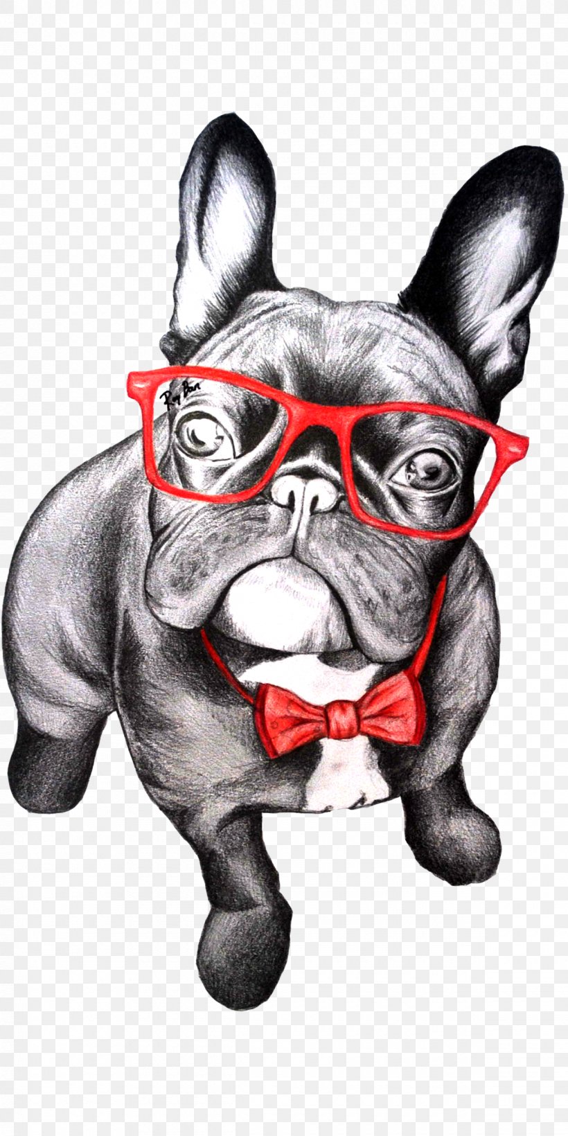 French Bulldog T-shirt Pug Puppy, PNG, 1200x2400px, French Bulldog, Black And White, Bluza, Bulldog, Carnivoran Download Free