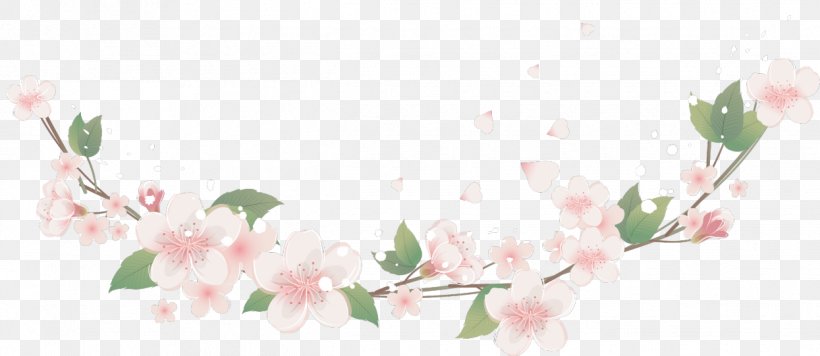Picture Frames Flower Floral Design Clip Art, PNG, 1245x541px, Picture Frames, Blossom, Branch, Cherry Blossom, Cut Flowers Download Free