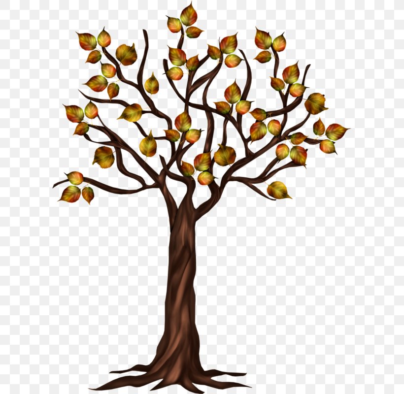 Tree Autumn, PNG, 607x800px, Tree, Autumn, Branch, Drawing, Flower Download Free