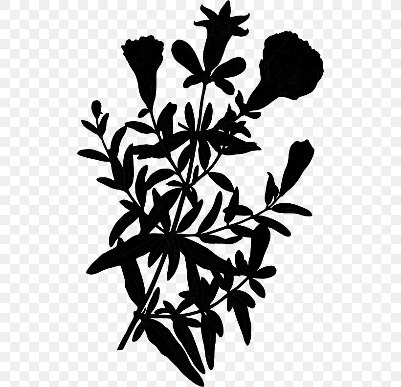 Twig Flower Plant Stem Leaf Branch, PNG, 504x792px, Twig, Black, Blackandwhite, Botany, Branch Download Free