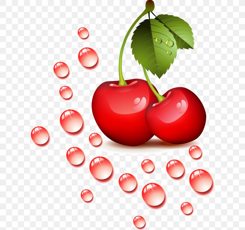 Cherry Clip Art, PNG, 618x769px, Cherry, Acerola, Acerola Family, Apple, Auglis Download Free
