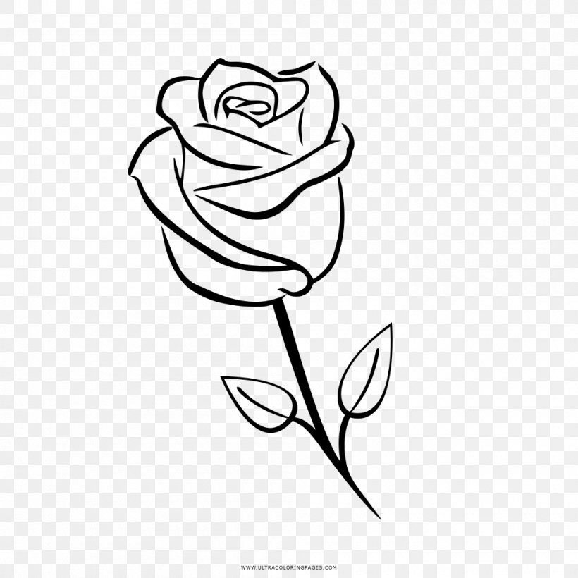 Garden Roses Drawing Coloring Book Clip Art, PNG, 1000x1000px, Garden Roses, Art, Artwork, Black, Black And White Download Free
