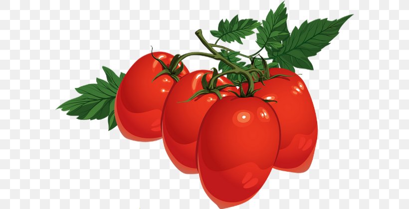Tomato DRAWING, PNG, 600x420px, Tomato Juice, Blue Tomato, Bush Tomato, Cherry Tomato, Diet Food Download Free