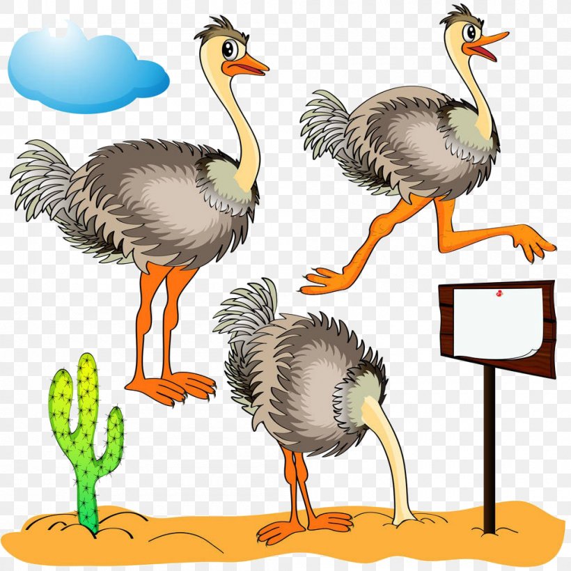 Common Ostrich Clip Art, PNG, 1000x1000px, Common Ostrich, Beak, Bird, Ducks Geese And Swans, Fauna Download Free