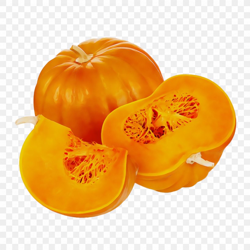 Orange, PNG, 2000x2000px, Watercolor, Butternut Squash, Calabaza, Cucurbita, Food Download Free