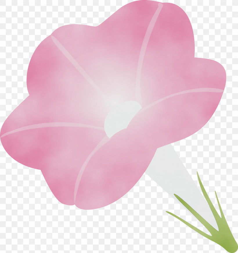 Petal Pink Flower Heart Plant, PNG, 2830x3000px, Morning Glory Flower, Flower, Heart, Herbaceous Plant, Paint Download Free