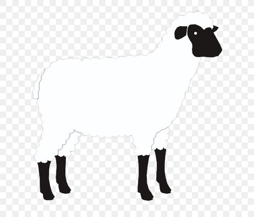 Sheep Goat Cattle Alpaca Drobnica, PNG, 700x700px, Sheep, Alpaca, Black And White, Cartoon, Cattle Download Free