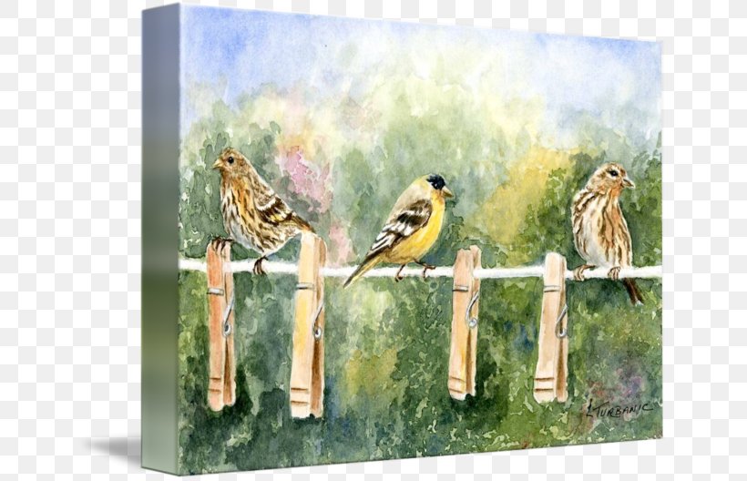 Watercolor Painting Fauna Flora Gallery Wrap, PNG, 650x528px, Painting, Art, Beak, Bird, Canvas Download Free