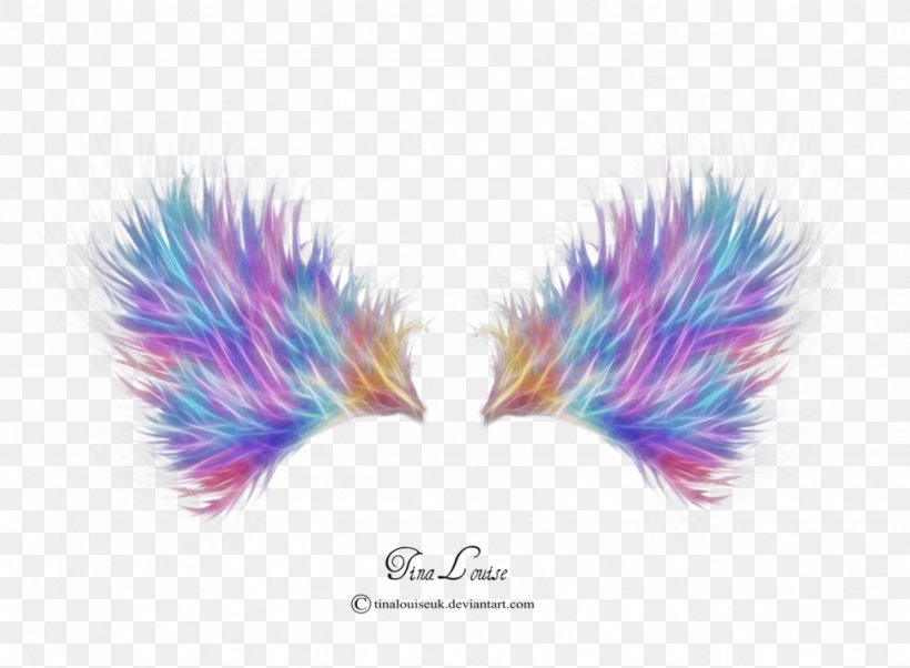 Wing Advertising Shakelicious Desktop Wallpaper, PNG, 1024x753px, Wing, Advertising, Color, Feather, Information Download Free