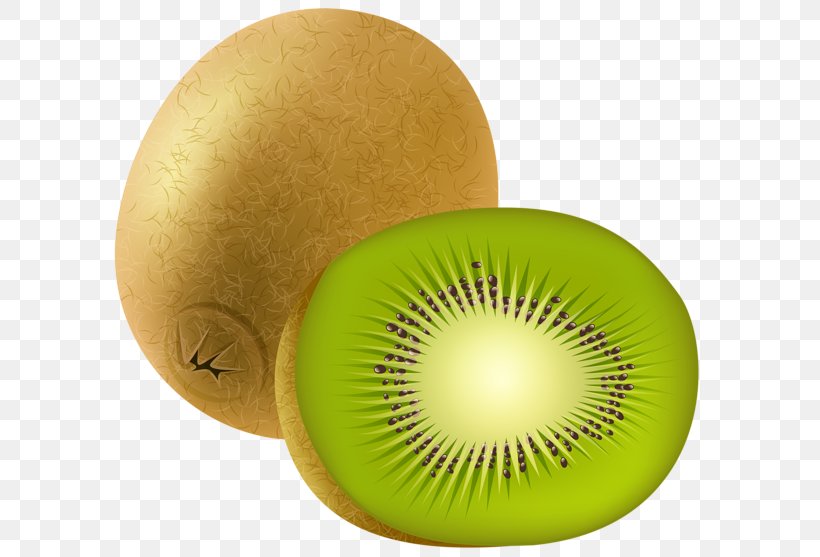 Kiwifruit Citrullus Lanatus Clip Art, PNG, 600x557px, Fruit, Auglis, Brush, Citrullus Lanatus, Gdragon Download Free