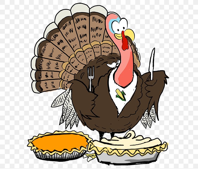 Turkey Thanksgiving Dinner Holiday Clip Art, PNG, 600x702px, Turkey, Beak, Bird, Concord, Concord Food Coop Download Free