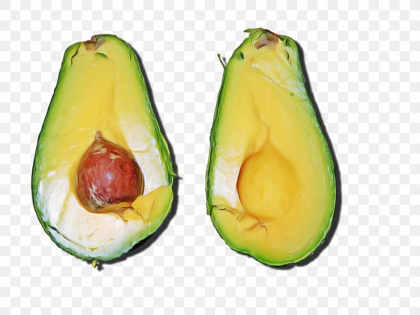 Avocado, PNG, 1280x960px, Avocado, Food, Fruit, Pear, Plant Download Free