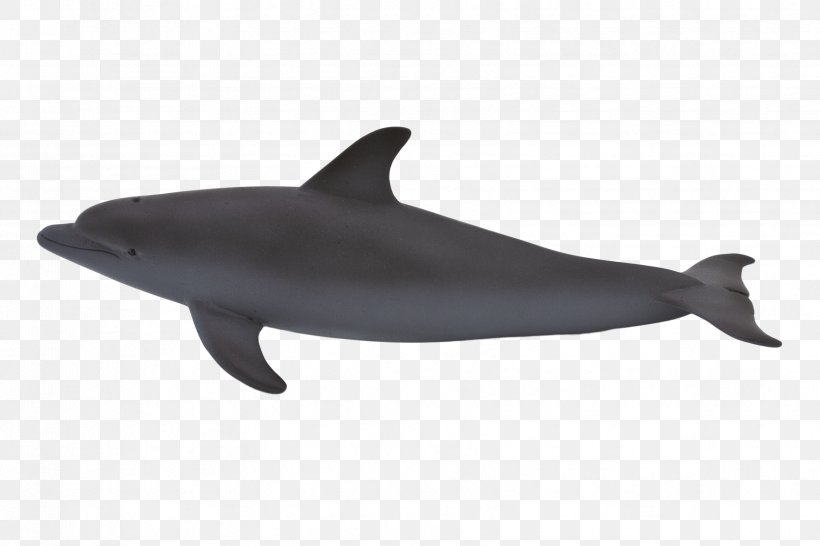 Common Bottlenose Dolphin Animal Humpback Whale Model Figure, PNG, 3348x2232px, Common Bottlenose Dolphin, Animal, Animal Planet, Atlantic Whitesided Dolphin, Bottlenose Dolphin Download Free