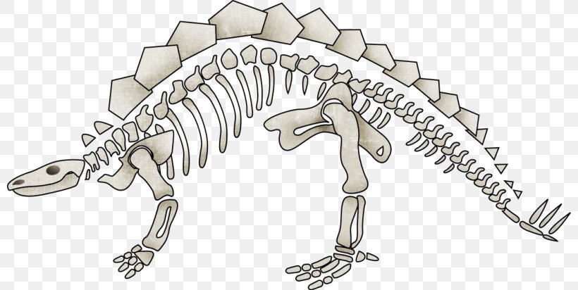 Dinosaur Tyrannosaurus Human Skeleton, PNG, 800x412px, Dinosaur, Animal, Body Jewelry, Cartoon, Drawing Download Free