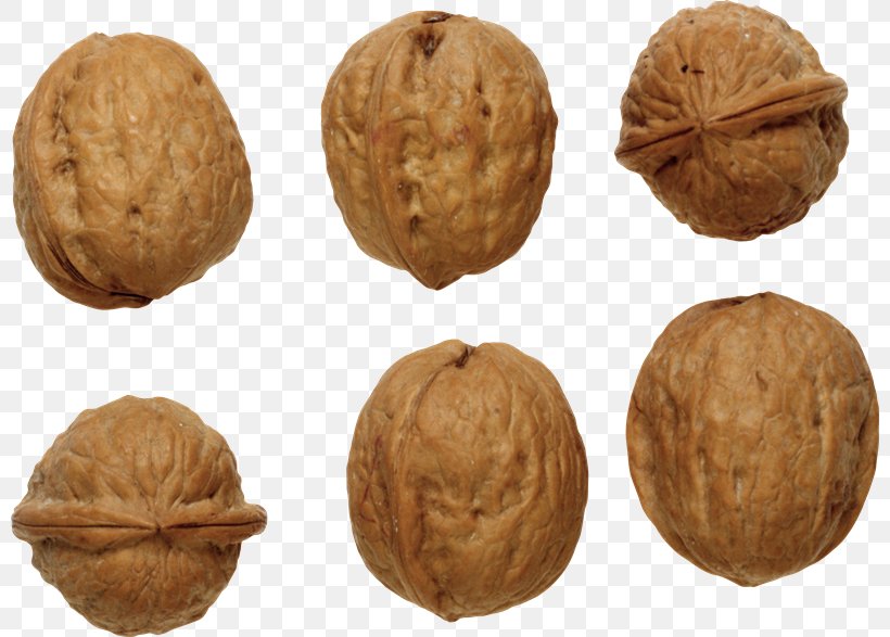 English Walnut Clip Art, PNG, 800x587px, English Walnut, Food, Information, Ingredient, Nut Download Free