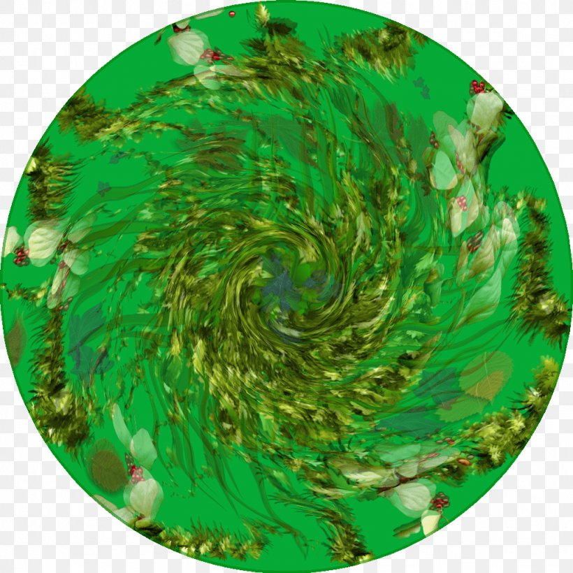 Green Spiral Pattern, PNG, 1024x1024px, Green, Grass, Organism, Spiral Download Free
