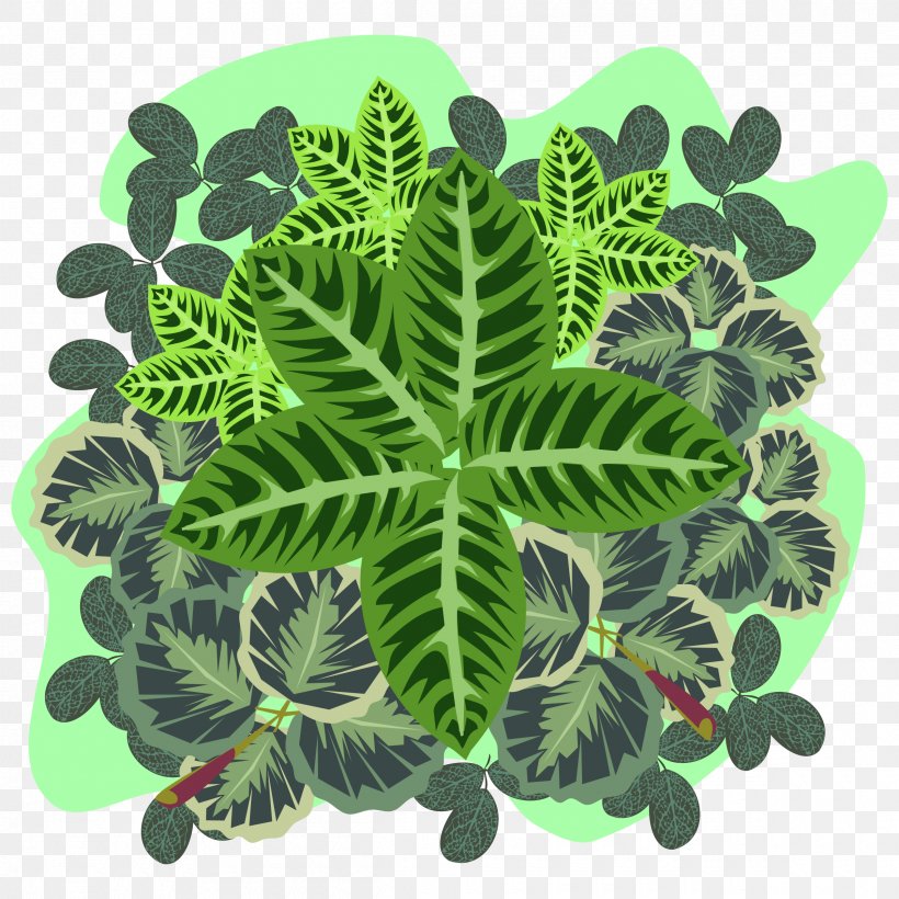 Plant Organism Leaf, PNG, 2400x2400px, Plant, Green, Leaf, Organism Download Free